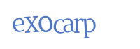 captcha txt